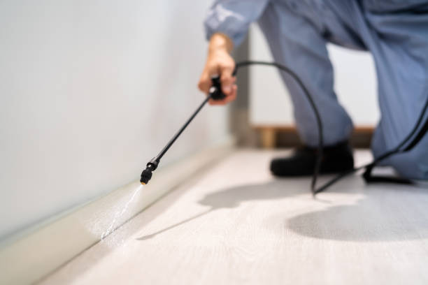 Licensed Mosquito Control service in Lakewood Park, FL - Show Me Pest Control
