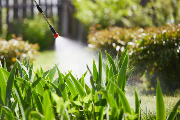 24/7 Emergency Mosquito Control experts in Lakewood Park, FL