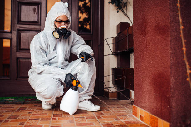 Reliable Mosquito Control contractor in Lakewood Park, FL by Show Me Pest Control